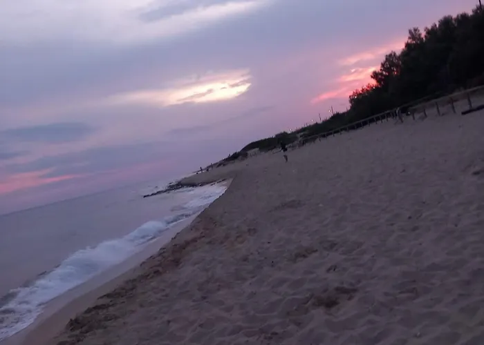 Del Salento Sava